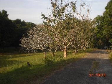 Ferienwohnung in chakphong (Rayong) oder Ferienwohnung oder Ferienhaus