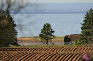 Ferienhaus in SOUTH PINETTE (Prince Edward Island) oder Ferienwohnung oder Ferienhaus