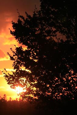 Ferienhaus in SOUTH PINETTE (Prince Edward Island) oder Ferienwohnung oder Ferienhaus