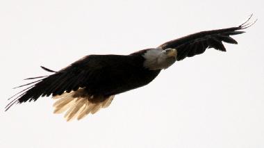 Ferienhaus in SOUTH PINETTE (Prince Edward Island) oder Ferienwohnung oder Ferienhaus