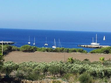 Villa in Favignana (Trapani) oder Ferienwohnung oder Ferienhaus