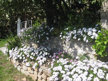 Ferienwohnung in Pomonte (Livorno) oder Ferienwohnung oder Ferienhaus