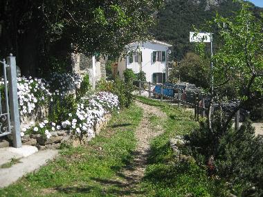 Ferienwohnung in Pomonte (Livorno) oder Ferienwohnung oder Ferienhaus