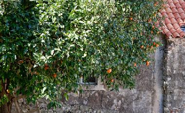 Ferienwohnung in Dubrovnik (Kroatien) oder Ferienwohnung oder Ferienhaus