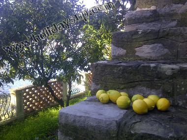 Villa in Sorrento (Napoli) oder Ferienwohnung oder Ferienhaus