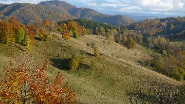 Die Landschaft im Weintal ist ideal zum Wandern