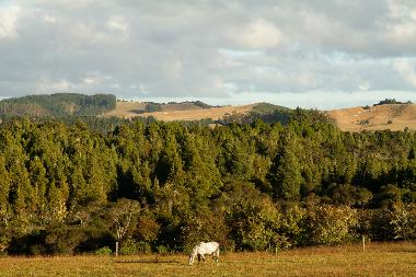 Ferienhaus in RD2 Oromahoe (Bay of Islands) oder Ferienwohnung oder Ferienhaus