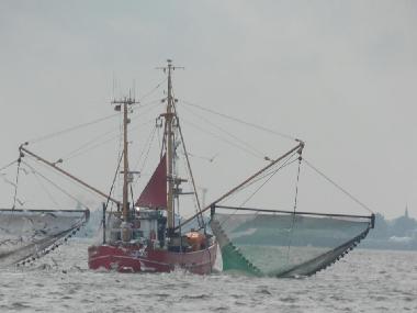 Ferienwohnung in Cuxhaven - D�se (Land zwischen Elbe u. Weser) oder Ferienwohnung oder Ferienhaus