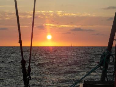 Ferienwohnung in Cuxhaven - D�se (Land zwischen Elbe u. Weser) oder Ferienwohnung oder Ferienhaus