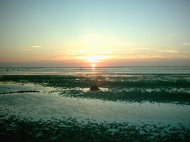 Ferienwohnung in Cuxhaven - D�se (Land zwischen Elbe u. Weser) oder Ferienwohnung oder Ferienhaus