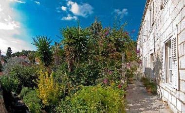 Ferienwohnung in Dubrovnik (Dubrovacko-Neretvanska) oder Ferienwohnung oder Ferienhaus