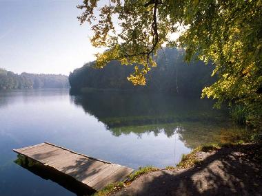 Ferienwohnung in Lagow (Lubuskie) oder Ferienwohnung oder Ferienhaus