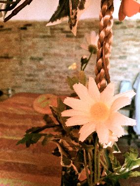 Ferienwohnung in Legoli (Pisa) oder Ferienwohnung oder Ferienhaus