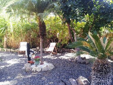 Ferienwohnung in Guia de Isora (Teneriffa) oder Ferienwohnung oder Ferienhaus