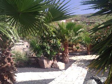 Ferienwohnung in Los Menores (Teneriffa) oder Ferienwohnung oder Ferienhaus