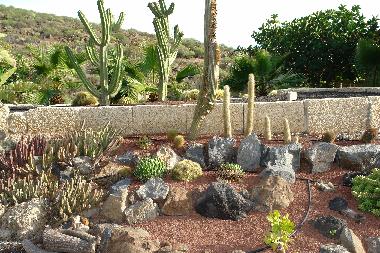 Ferienwohnung in Los Menores (Teneriffa) oder Ferienwohnung oder Ferienhaus