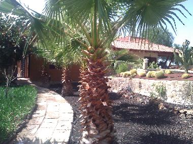 Ferienhaus in Los Menores (Teneriffa) oder Ferienwohnung oder Ferienhaus