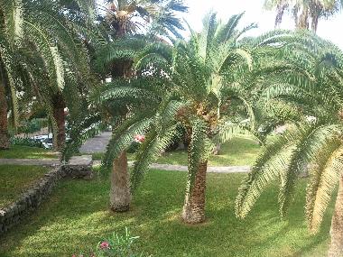 Ferienwohnung in Callao Salvaje (Teneriffa) oder Ferienwohnung oder Ferienhaus