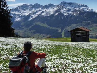 Frhjahr in der Wildschnau