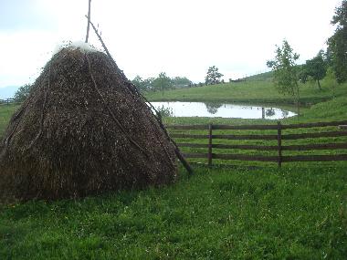Chalet in Minzalesti (Buzau) oder Ferienwohnung oder Ferienhaus