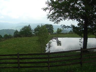 Chalet in Minzalesti (Buzau) oder Ferienwohnung oder Ferienhaus