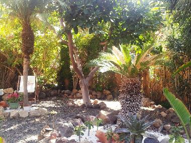 Ferienwohnung in Guia de Isora (Teneriffa) oder Ferienwohnung oder Ferienhaus