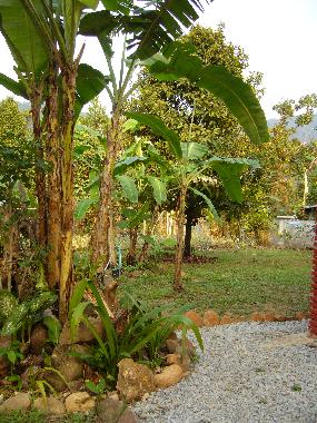 Ferienhaus in Klong Son (Trat) oder Ferienwohnung oder Ferienhaus
