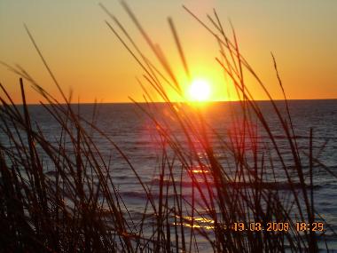 Ferienhaus in L�kken / Furreby (Nordjylland) oder Ferienwohnung oder Ferienhaus