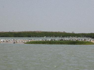 Ferienwohnung in saly (Thies) oder Ferienwohnung oder Ferienhaus