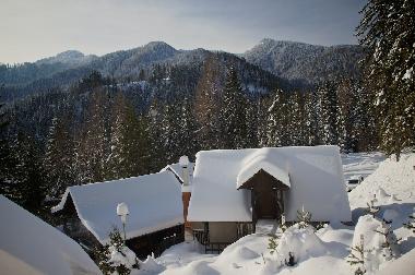 Ferienwohnung in SOLCAVA  (Luce) oder Ferienwohnung oder Ferienhaus