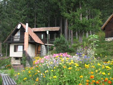 Ferienwohnung in SOLCAVA  (Luce) oder Ferienwohnung oder Ferienhaus