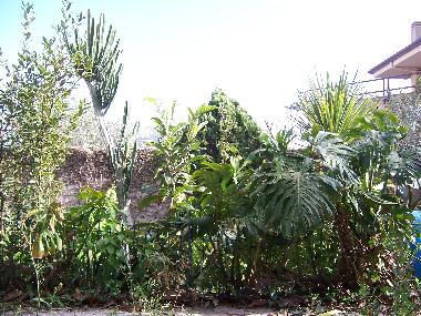 Villa in palermo (Palermo) oder Ferienwohnung oder Ferienhaus