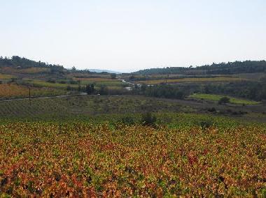 Ferienhaus in moux (Aude) oder Ferienwohnung oder Ferienhaus