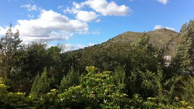 Chalet in Puerto de Alcdia (Mallorca) oder Ferienwohnung oder Ferienhaus