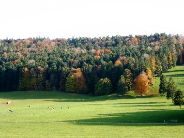 Panorama Aussicht im Herbst
