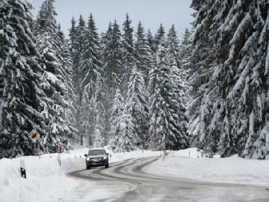 Viele Tannen, typisch Freiberge