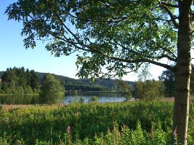 Ferienwohnung in Clausthal-Zellerfeld (Harz) oder Ferienwohnung oder Ferienhaus