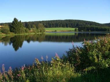 Ferienwohnung in Clausthal-Zellerfeld (Harz) oder Ferienwohnung oder Ferienhaus