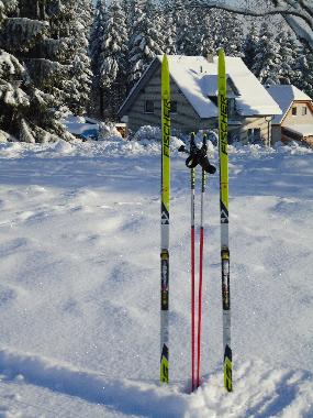 Ferienwohnung in Clausthal-Zellerfeld (Harz) oder Ferienwohnung oder Ferienhaus
