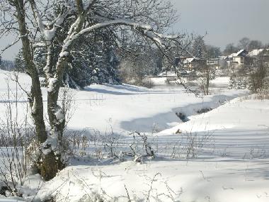 Ferienwohnung in Clausthal-Zellerfeld (Harz) oder Ferienwohnung oder Ferienhaus