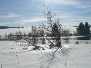 Ferienwohnung in Clausthal-Zellerfeld (Harz) oder Ferienwohnung oder Ferienhaus