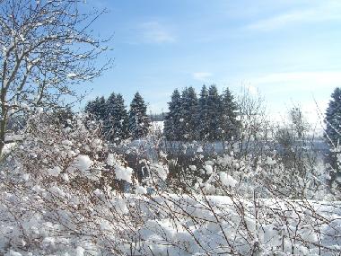 Ferienwohnung in Clausthal-Zellerfeld (Harz) oder Ferienwohnung oder Ferienhaus