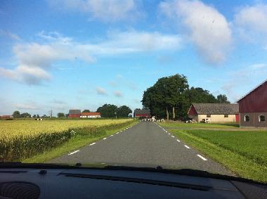 Morgenstund hat Gold im Mund... aber steht man zu fr�h auf kann man schon im Kuhstau steckenbleiben.