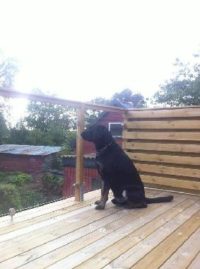 Auf der neurenovierten oberen Terasse l�sst sich die Sonne auch gut geniessen...