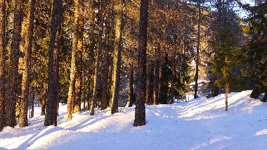 Erholsame Spazierg�nge (regen die Phantasie an)