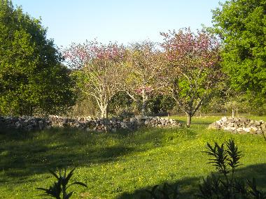 Ferienhaus in La Garde Adh�mar (Dr�me) oder Ferienwohnung oder Ferienhaus