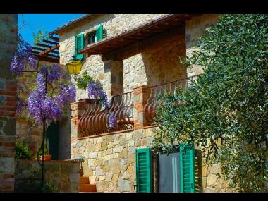 Ferienhaus in Castelnuovo Berardenga (Siena) oder Ferienwohnung oder Ferienhaus