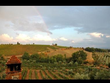 Ferienhaus in Castelnuovo Berardenga (Siena) oder Ferienwohnung oder Ferienhaus