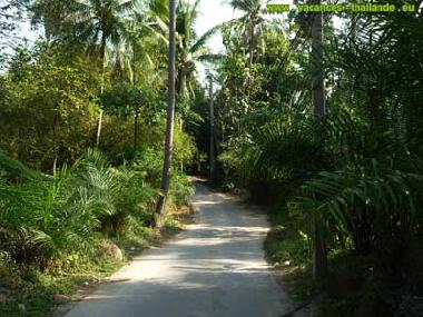 Villa in Koh Samui (Surat Thani) oder Ferienwohnung oder Ferienhaus