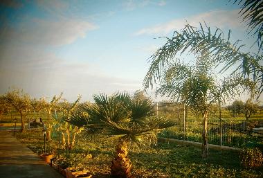 Ferienhaus in Selinunte (Trapani) oder Ferienwohnung oder Ferienhaus